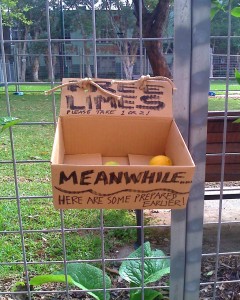 Free limes in Peace Park