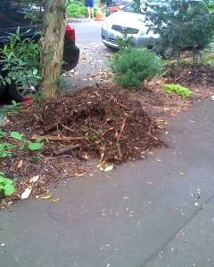 Fresh mulch on road garden