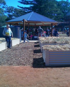 Central pavilion, Mona Vale community garden