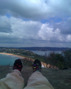 Socks get a great view from Barrenjoey