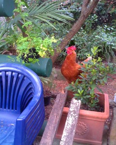 Bob in charge of the property next door