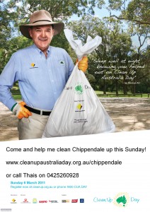 Clean up chippendale