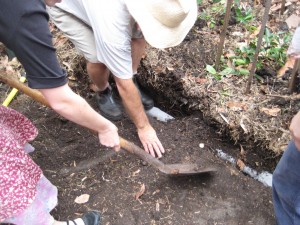 Leaky drain to harvest water from footpath and laid in trench and being covered with soil