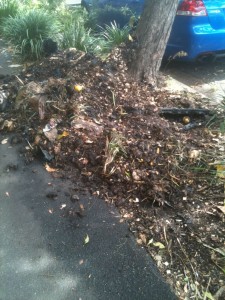 Two burnt, melted bins and compost