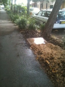 Area cleaned and mulched after bins removed