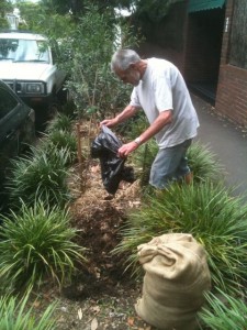 Geoff, Green Building Council compost and road verge
