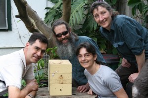 Asylum Centre gardeners with new bee hive - L to R: Chris, Stef, Jessica, Vera