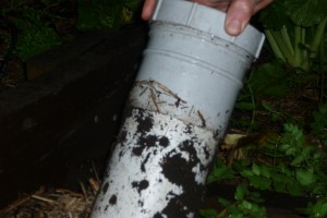 Simple composter - a pipe in the ground with holes drilled in the section that's buried