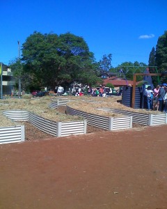 Raised bed gardens, Mona Vale community garden