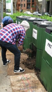 Removing compost from bins