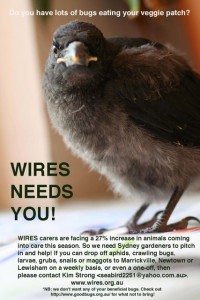 WIRES need us - our bugs, that is